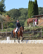 Les Écuries du Breuil : box et paddocks, pension pour chevaux à Valdelaume - Photo 8 sur 8