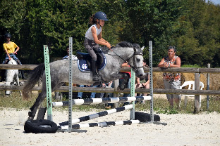 Les Écuries du Breuil : box et paddocks, pension pour chevaux à Valdelaume - Photo 2 sur 8