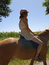 Les Écuries du Breuil : box et paddocks, pension pour chevaux à Valdelaume - Photo 4 sur 8