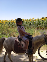 Les Écuries du Breuil : box et paddocks, pension pour chevaux à Valdelaume - Photo 5 sur 8