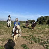 L'Ecurie de Blue-Sky: boxes y paddocks, pensión para caballos en Les Pennes-Mirabeau - Foto 3 de 3