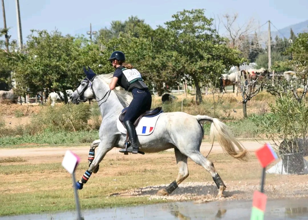 Écuries de Richemont : box et paddocks, pension pour chevaux à Armeau - Photo 4 sur 5