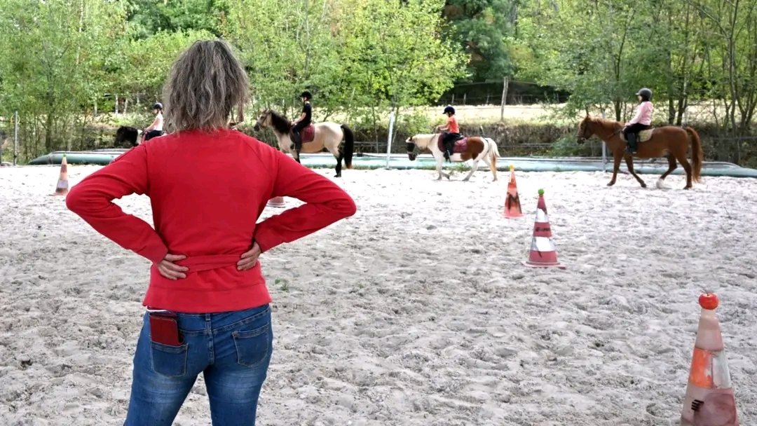 Écuries de Richemont : box et paddocks, pension pour chevaux à Armeau - Photo 3 sur 5