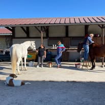 Les Ecuries de l'Ouest : box et paddocks, pension pour chevaux à Dommartin - Photo 3 sur 3