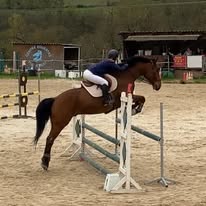 Les Ecuries de l'Ouest : box et paddocks, pension pour chevaux à Dommartin - Photo 2 sur 3