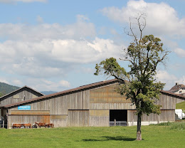 Western Hasler Farm : box et paddocks, pension pour chevaux à Tramelan - Photo 5 sur 5