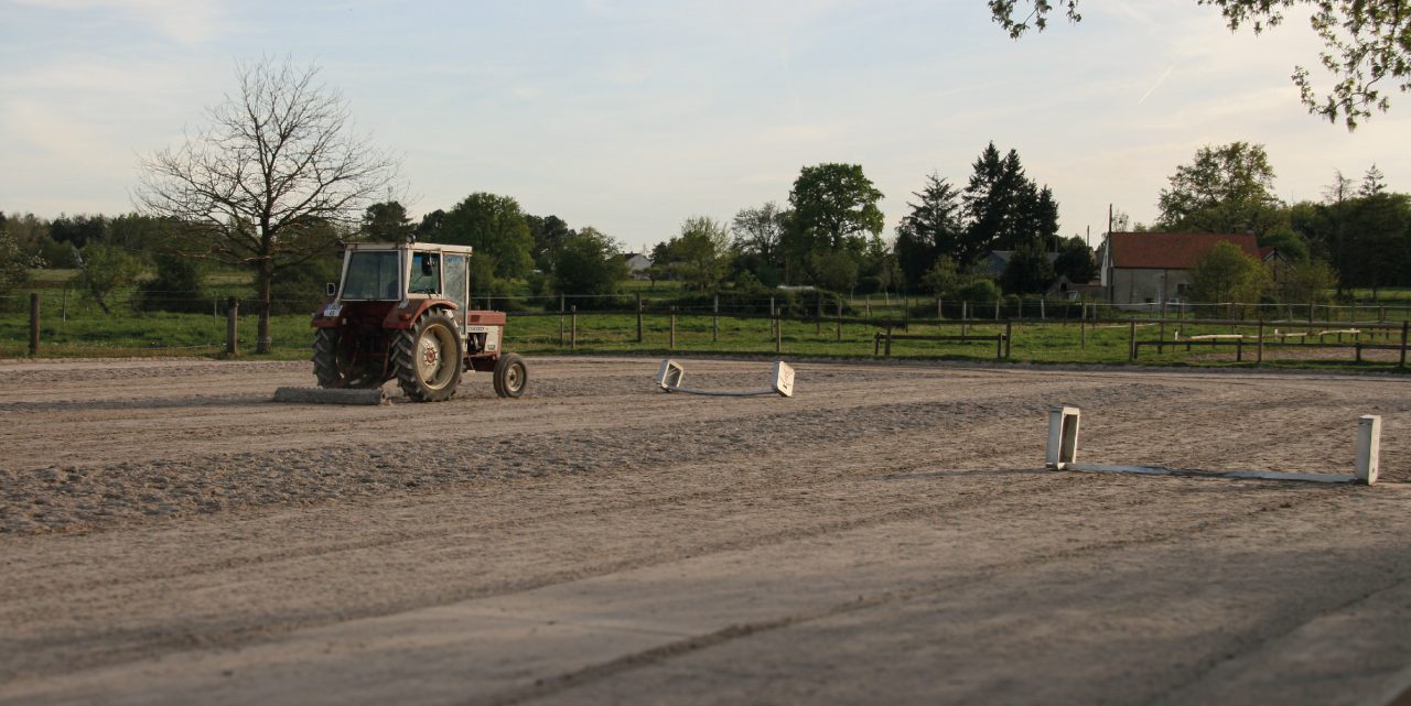 Les Écuries de la Forêt : box et paddocks, pension pour chevaux à Bray-Saint-Aignan - Photo 3 sur 8