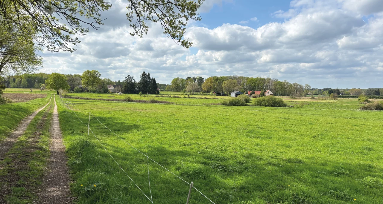 Les Écuries de la Forêt : box et paddocks, pension pour chevaux à Bray-Saint-Aignan - Photo 8 sur 8