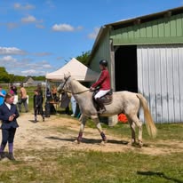 EARL L ECURIE DE FIONA : box et paddocks, pension pour chevaux à Saint-Georges-Buttavent - Photo 2 sur 3