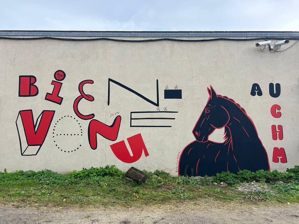 CLUB HIPPIQUE DE MEAUX : box et paddocks, pension pour chevaux à Meaux - Photo 1 sur 3