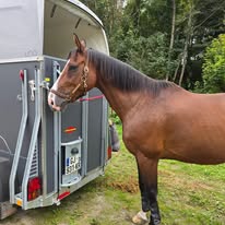 CLUB HIPPIQUE DE MEAUX : box et paddocks, pension pour chevaux à Meaux - Photo 3 sur 3