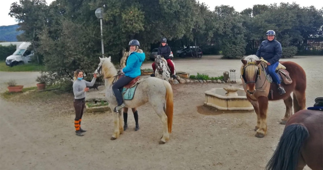 Centre Équestre La Fenière : box et paddocks, pension pour chevaux à Les Mées - Photo 1 sur 3