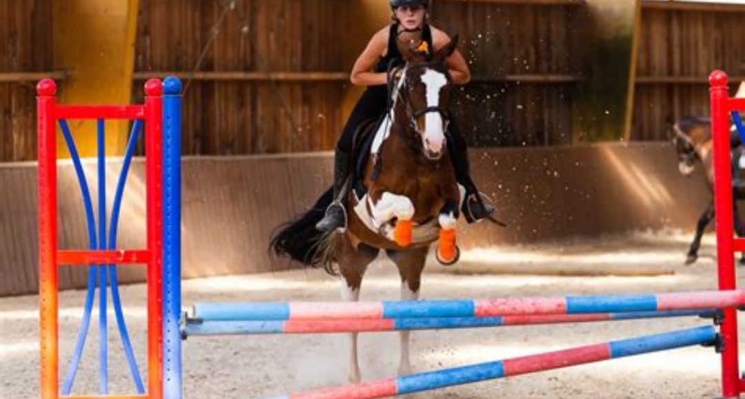 Centre Équestre La Fenière : box et paddocks, pension pour chevaux à Les Mées - Photo 2 sur 3