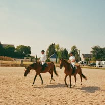LES ÉCURIES DU DOMAINE DE COULAINES : box et paddocks, pension pour chevaux à Saint-Martin-le-Beau - Photo 3 sur 3