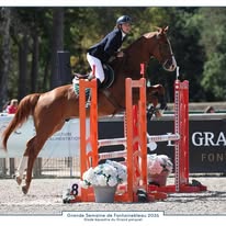 CENTRE ÉQUESTRE DE LA VAURE : box et paddocks, pension pour chevaux à Connantre - Photo 3 sur 3