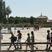 CENTRE ÉQUESTRE DE LA VAURE : box et paddocks, pension pour chevaux à Connantre - Photo 2 sur 3