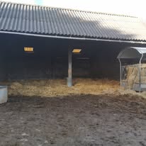 Les écuries de Kerlièzec / Anne-Louise Blouin : box et paddocks, pension pour chevaux à Plouigneau - Photo 2 sur 3