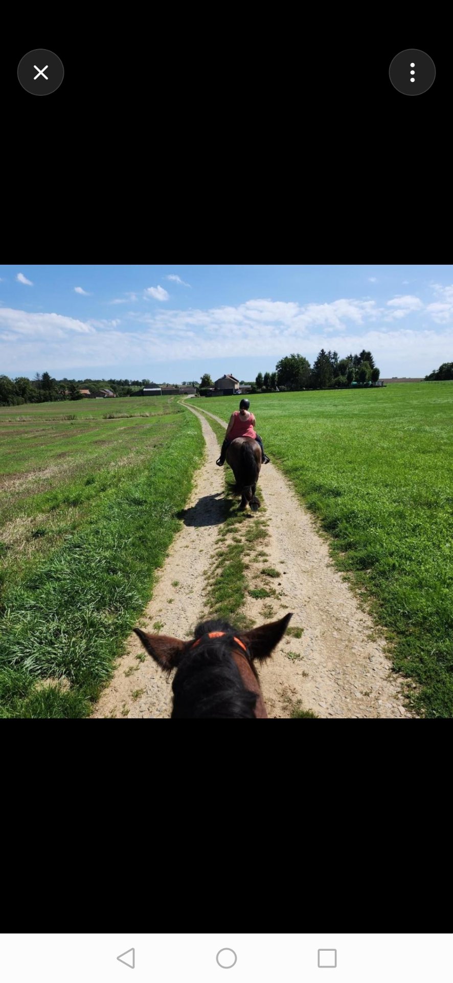 Ferme Équestre de la Fresnelle : box et paddocks, pension pour chevaux à Fatouville-Grestain - Photo 7 sur 8