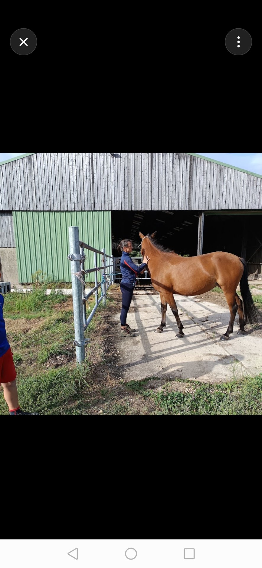 Ferme Équestre de la Fresnelle : box et paddocks, pension pour chevaux à Fatouville-Grestain - Photo 2 sur 8