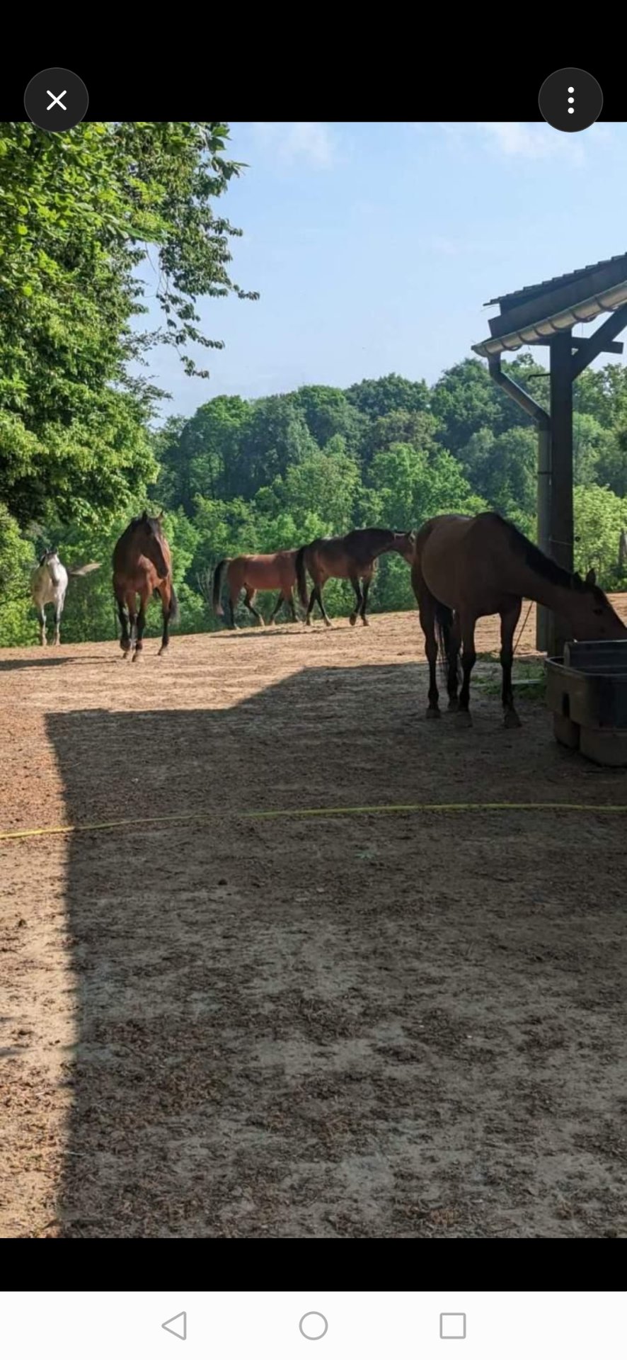 Ferme Équestre de la Fresnelle : box et paddocks, pension pour chevaux à Fatouville-Grestain - Photo 8 sur 8