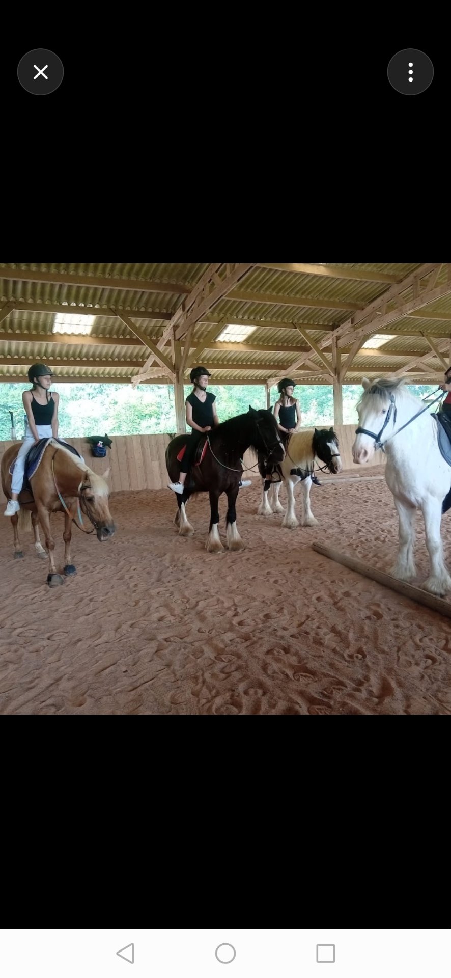 Ferme Équestre de la Fresnelle : box et paddocks, pension pour chevaux à Fatouville-Grestain - Photo 6 sur 8