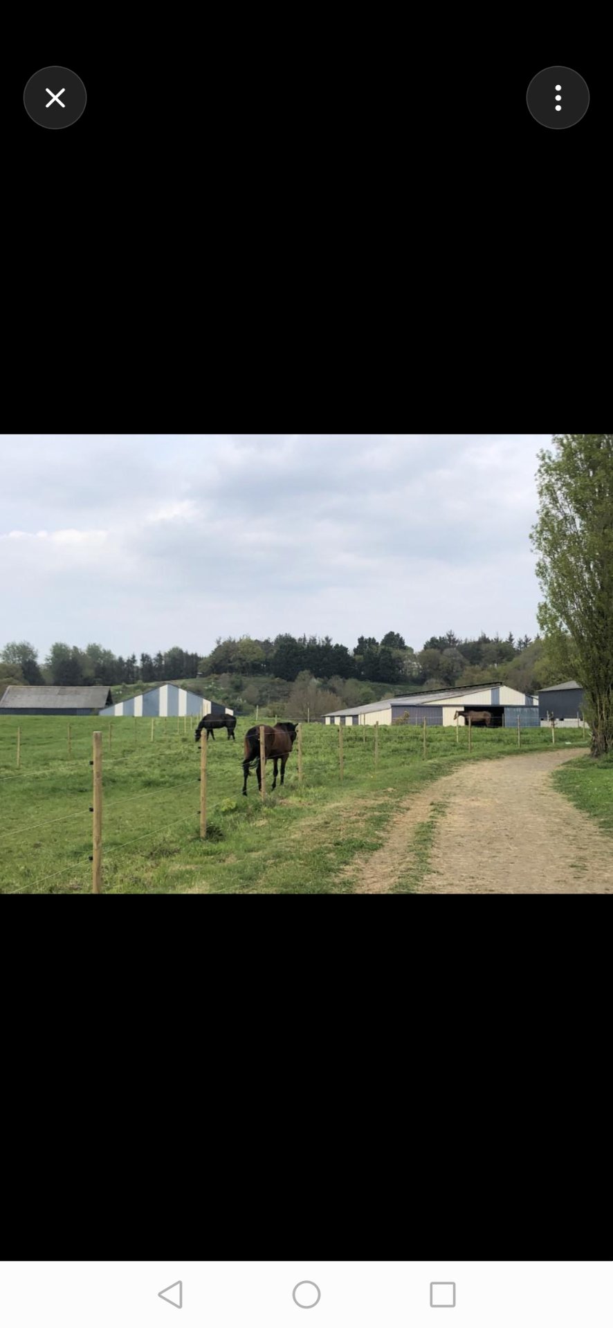 Ferme Équestre de la Fresnelle : box et paddocks, pension pour chevaux à Fatouville-Grestain - Photo 3 sur 8