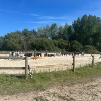 Centre Équestre des Dunes : box et paddocks, pension pour chevaux à Erdeven - Photo 2 sur 3