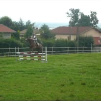 Centre Équestre de Faramans : box et paddocks, pension pour chevaux à Faramans - Photo 3 sur 3