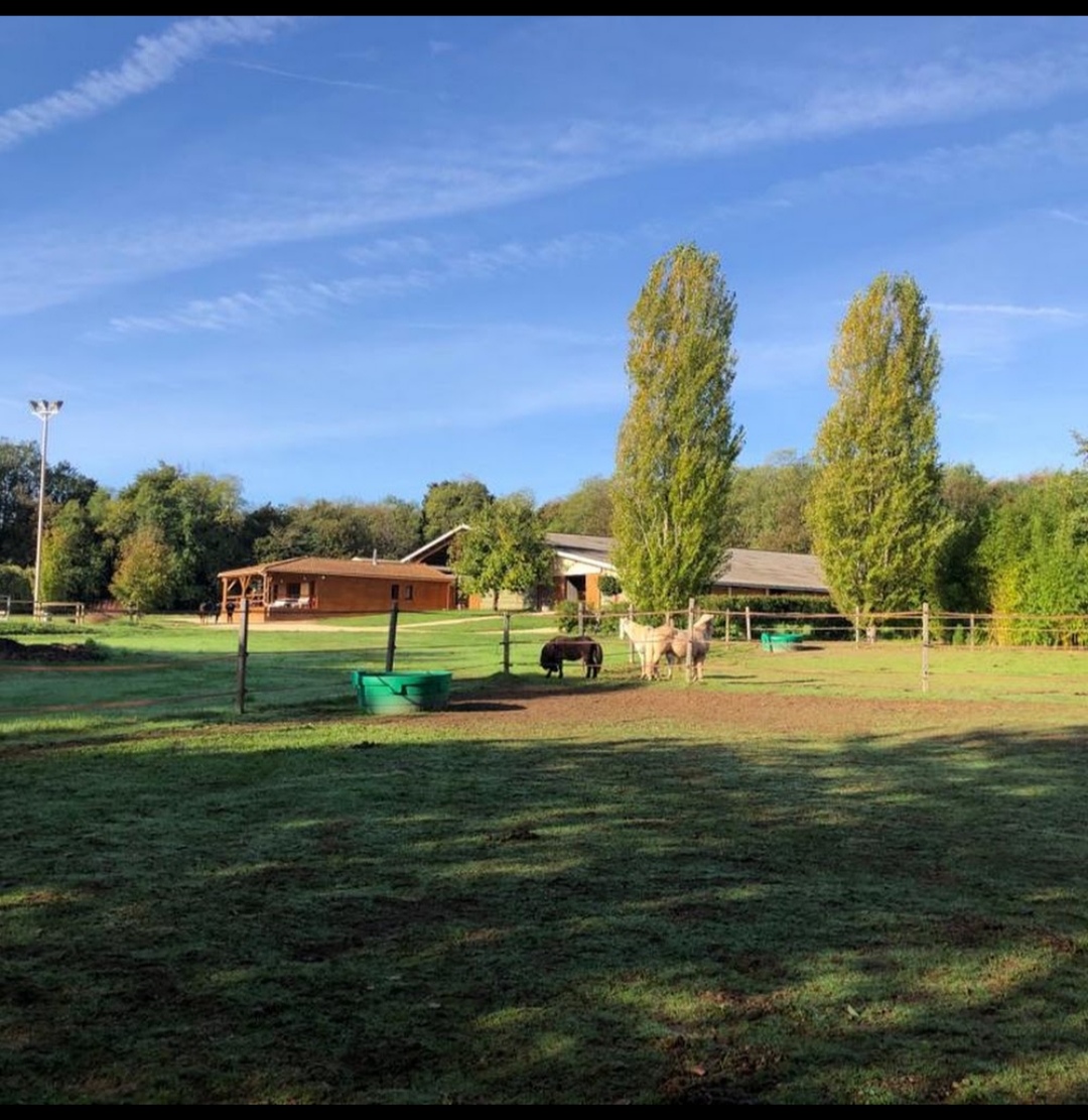 Centre Équestre de Venat : box et paddocks, pension pour chevaux à Saint-Yrieix-sur-Charente - Photo 3 sur 3