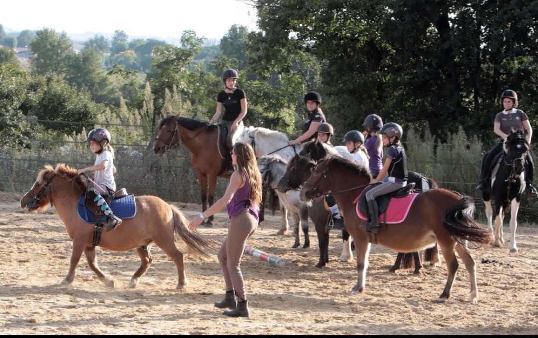 Centre Équestre de Venat : box et paddocks, pension pour chevaux à Saint-Yrieix-sur-Charente - Photo 2 sur 3