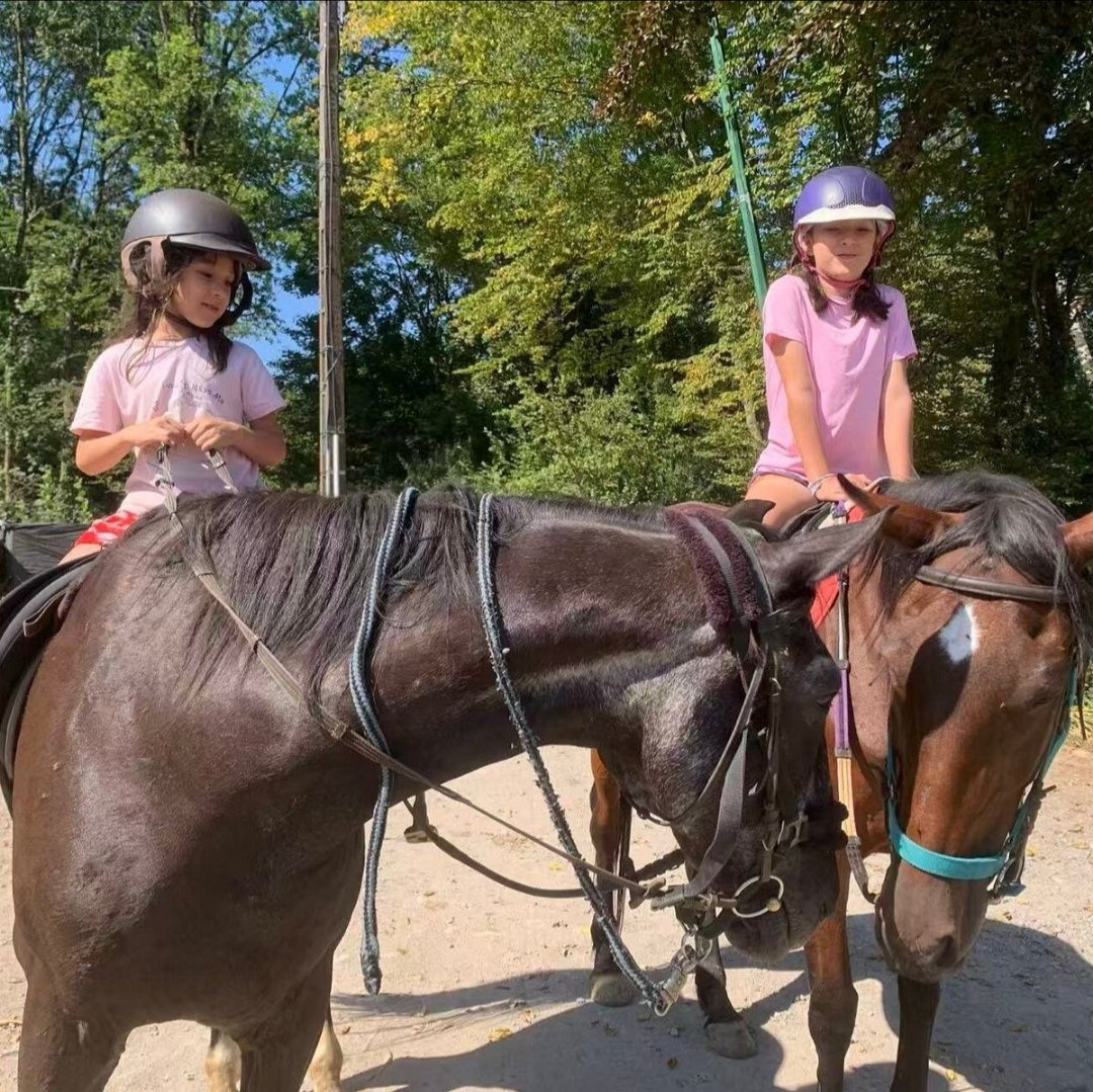 Balade à cheval / Ferme La Croix Colas : box et paddocks, pension pour chevaux à Signy-le-Petit - Photo 2 sur 4