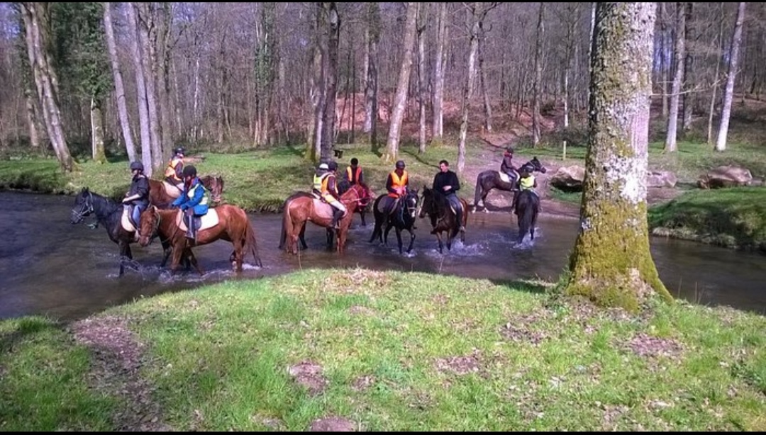 Balade à cheval / Ferme La Croix Colas : box et paddocks, pension pour chevaux à Signy-le-Petit - Photo 1 sur 4