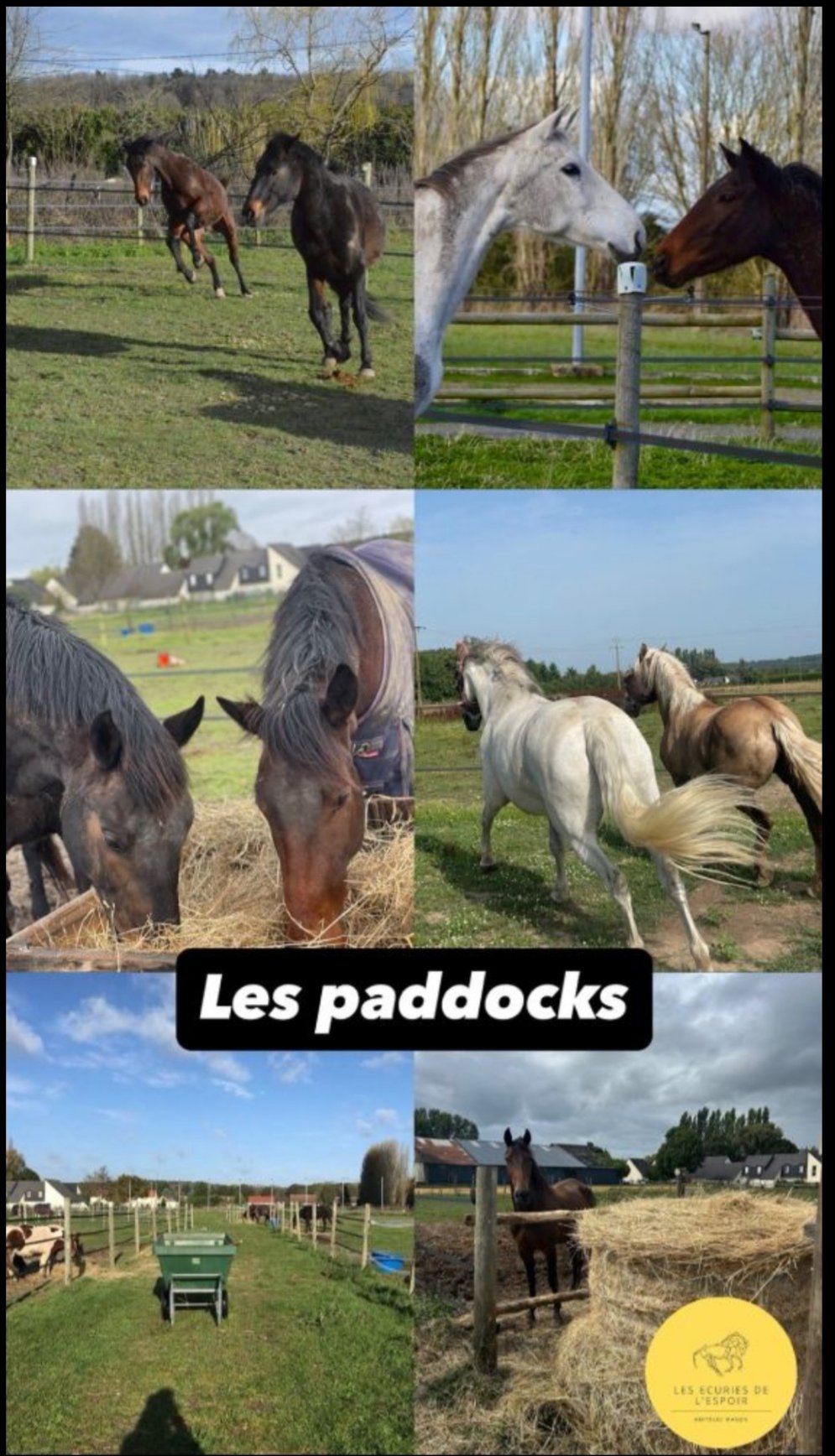 Les Écuries de l'Espoir : box et paddocks, pension pour chevaux à La Chapelle-aux-Choux - Photo 2 sur 2