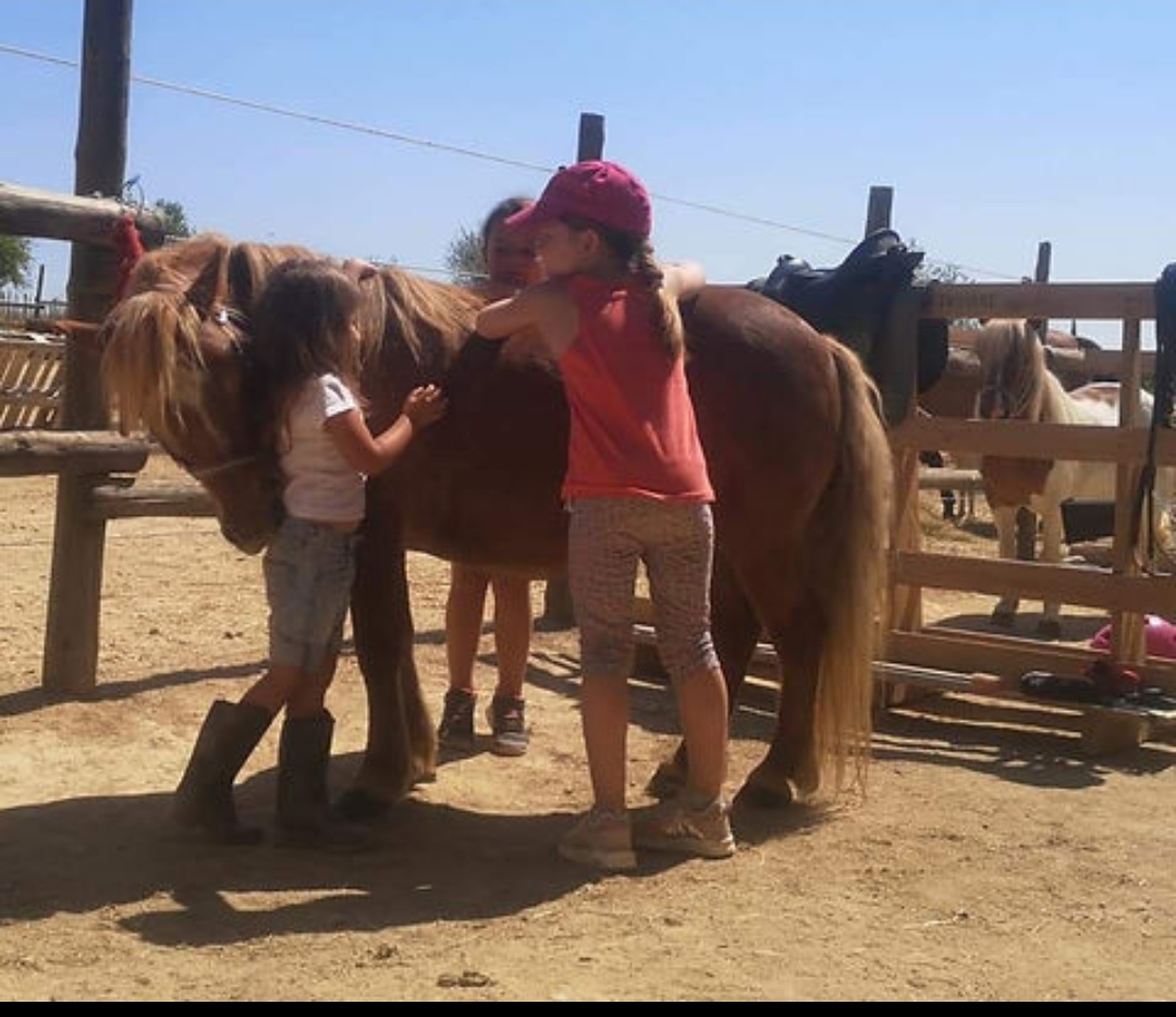 Ferme Équestre Villa Calobrice : box et paddocks, pension pour chevaux à Servian - Photo 1 sur 2