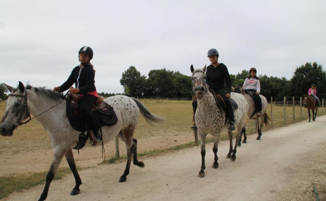 Ferme Équestre L?idalgo : box et paddocks, pension pour chevaux à Cond�on - Photo 2 sur 3