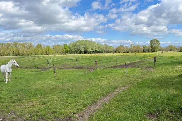 Poney Club de Passieu : box et paddocks, pension pour chevaux à Saint-Romain-de-Jalionas - Photo 1 sur 5