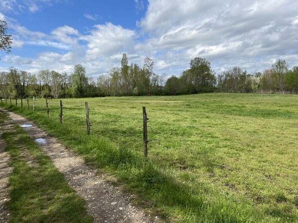 Poney Club de Passieu : box et paddocks, pension pour chevaux à Saint-Romain-de-Jalionas - Photo 4 sur 5