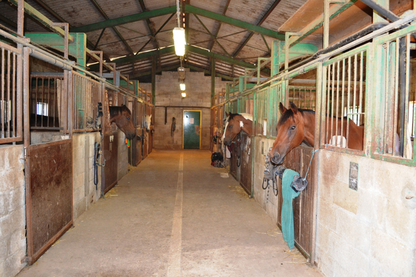 Poney Club de Passieu : box et paddocks, pension pour chevaux à Saint-Romain-de-Jalionas - Photo 3 sur 5
