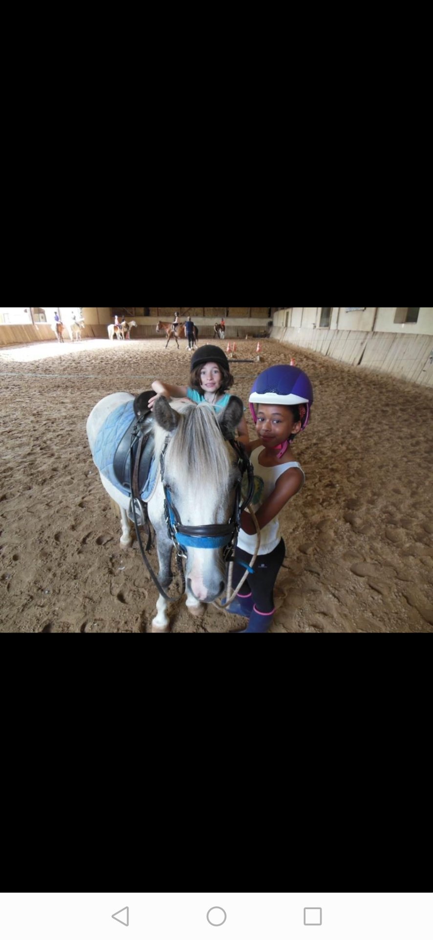 Centre équestre L’Orge Sucrée : box et paddocks, pension pour chevaux à Cazilhac - Photo 2 sur 3