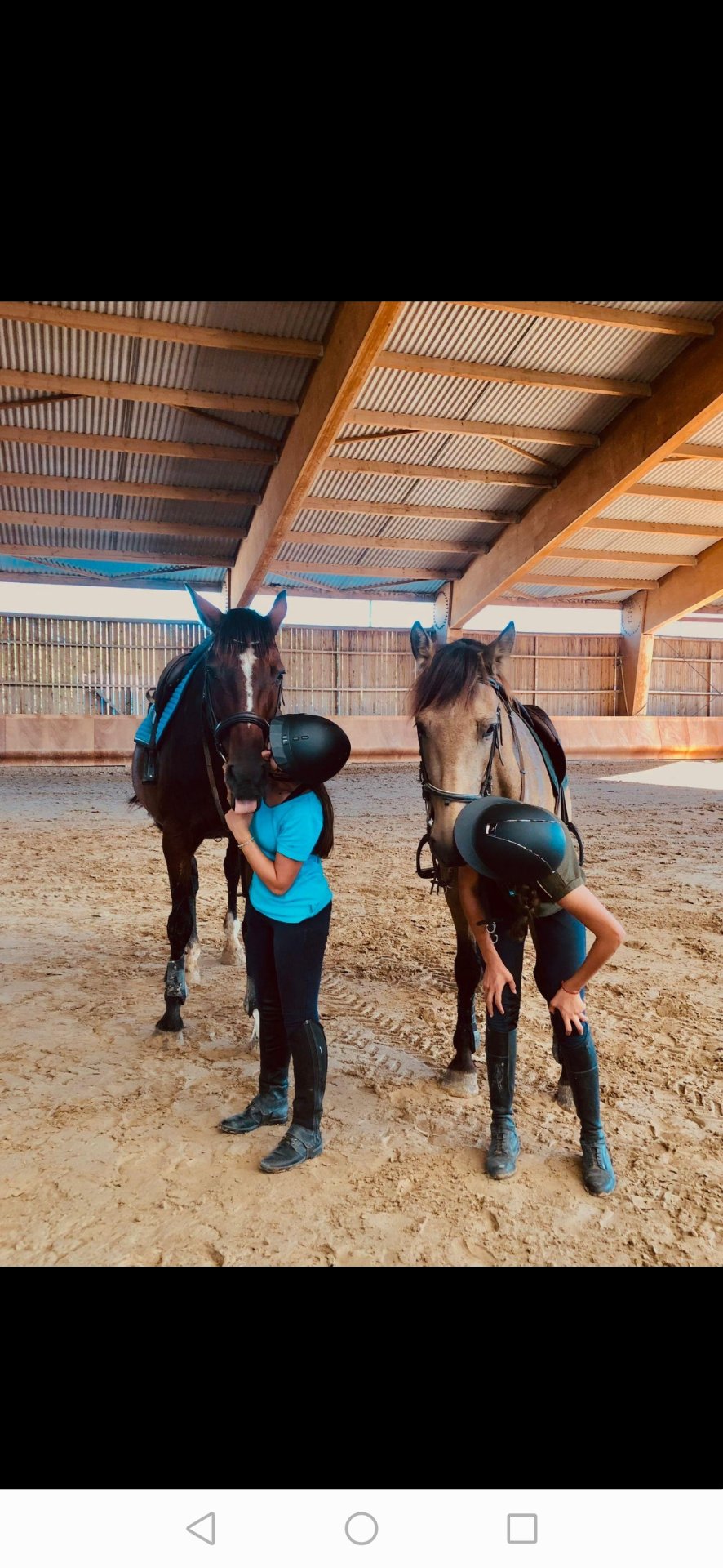 Centre équestre L’Orge Sucrée : box et paddocks, pension pour chevaux à Cazilhac - Photo 3 sur 3