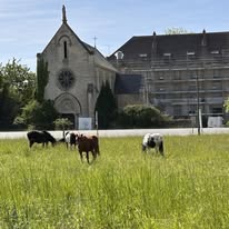 Centre Équestre de Cuisery : box et paddocks, pension pour chevaux à Cuisery (proche de Tournus) - Photo 2 sur 4