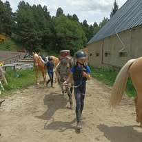 Centre équestre de Font-Romeu : box et paddocks, pension pour chevaux à Font-Romeu-Odeillo-Via - Photo 3 sur 4