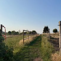 Pôle Équestre de l'Aubrac : box et paddocks, pension pour chevaux à Nasbinals - Photo 4 sur 4