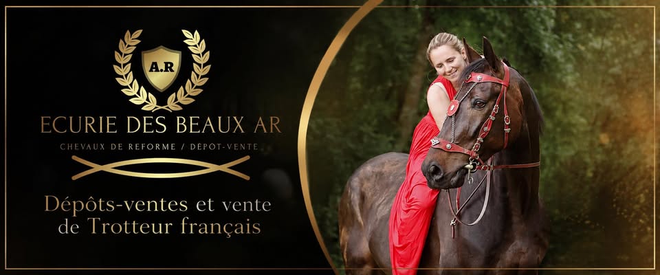 Écurie des Beau AR : box et paddocks, pension pour chevaux à Blanzac-les-Matha - Photo 1 sur 4