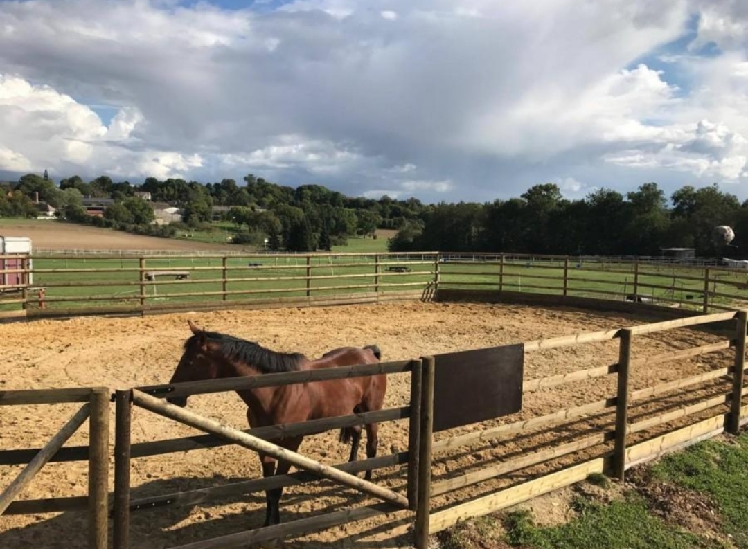 Écurie Eden Horse : box et paddocks, pension pour chevaux à Nonancourt - Photo 2 sur 2