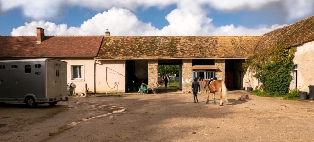 Écurie Eden Horse : box et paddocks, pension pour chevaux à Nonancourt - Photo 1 sur 2