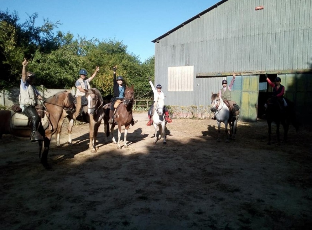 Avoine et Picotin : box et paddocks, pension pour chevaux - Photo 3 sur 4
