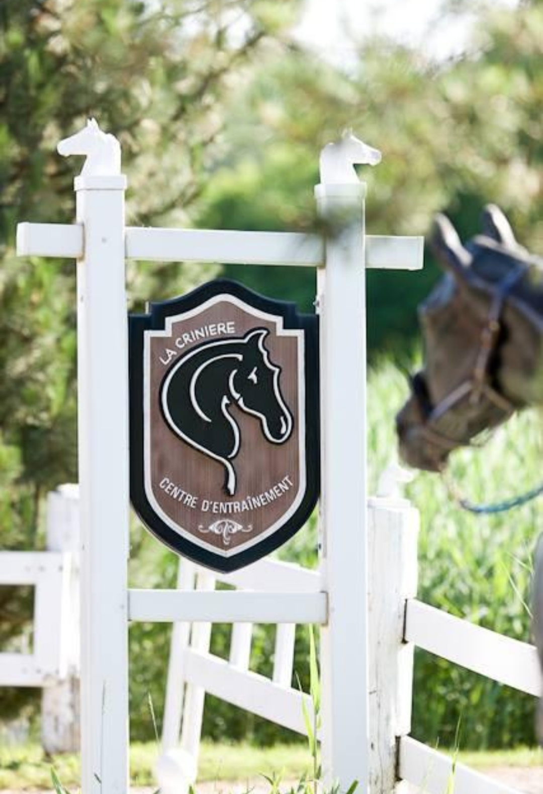 Écurie La Crinière : box et paddocks, pension pour chevaux à Saint-Cyprien-de-Napierville / Napierville, Québec - Photo 1 sur 2