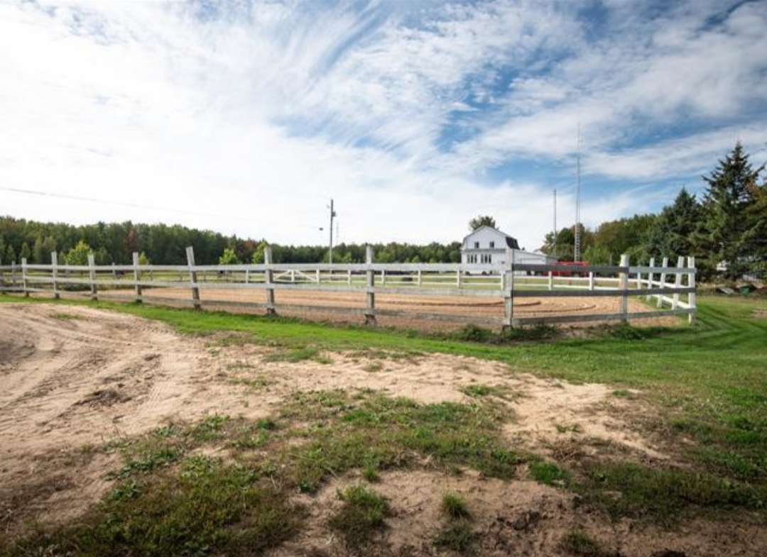 Phoenix Stables : box et paddocks, pension pour chevaux à Sainte-Brigide-d’Iberville - Photo 2 sur 2