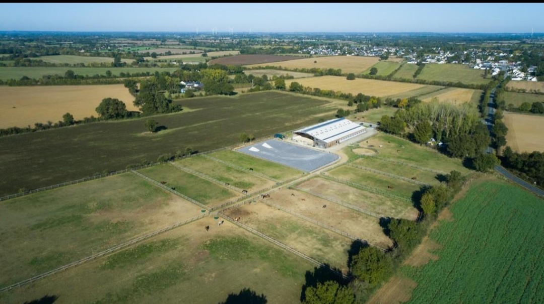 Centre Équestre de Melay : box et paddocks, pension pour chevaux à Chemillé-en-Anjou (Melay) - Photo 3 sur 3